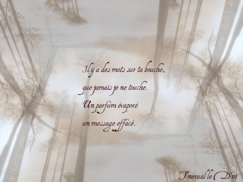 Amour Perdu