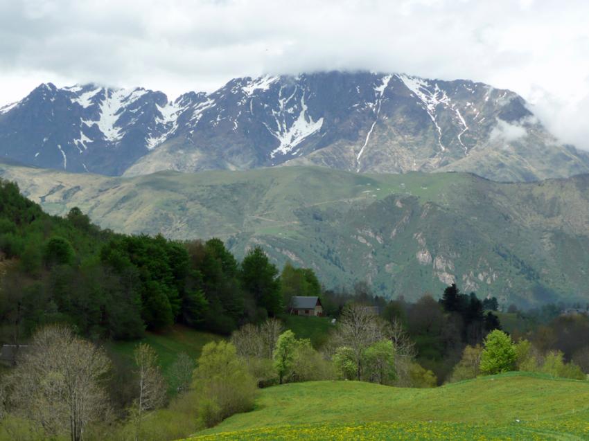 Printemps  Azet ( Htes Pyrnes)
