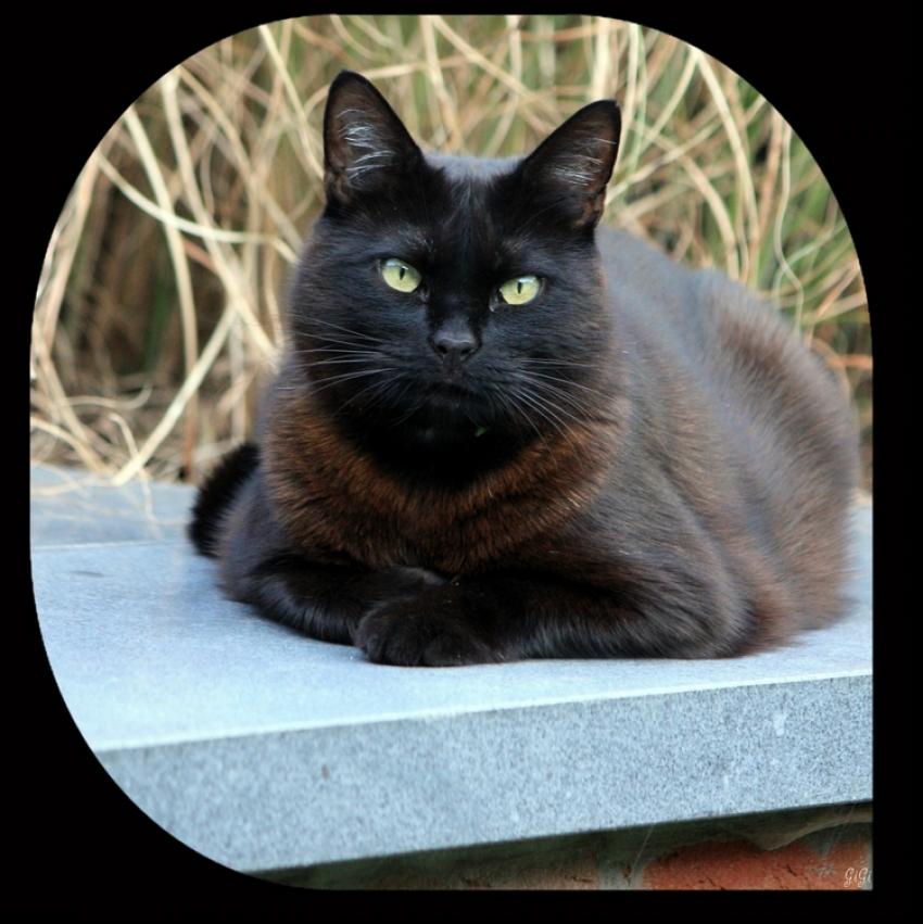 Poseur....