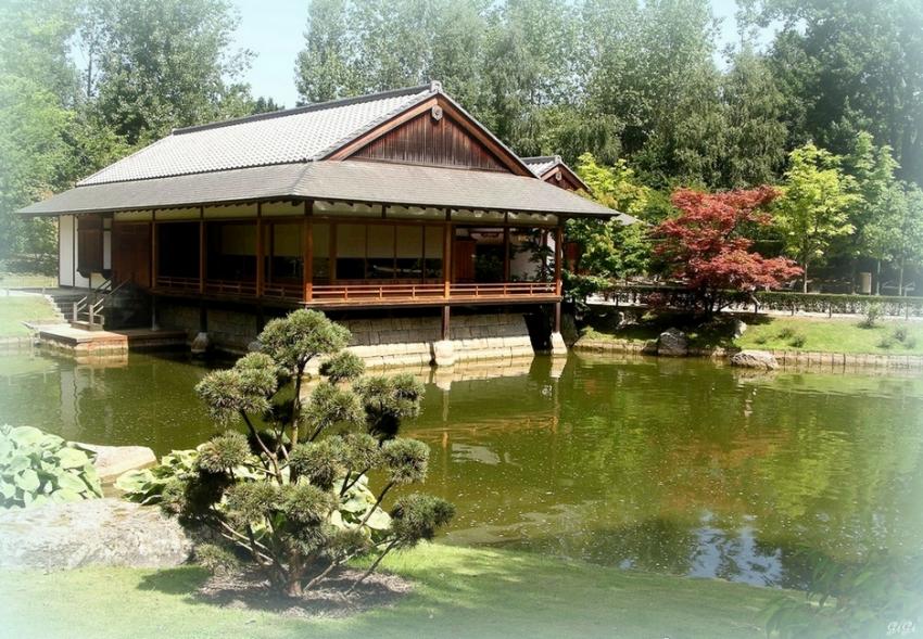 Maison du th